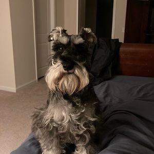 Meet your Posher, Christy